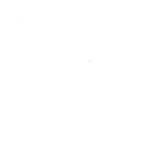 camera videos