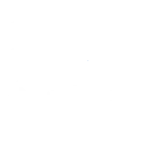 voice recording